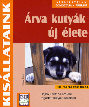 Árva kutyák új élete