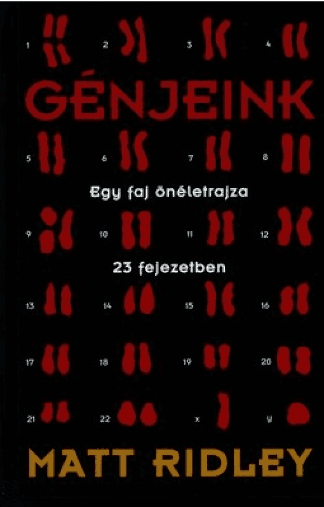 Génjeink