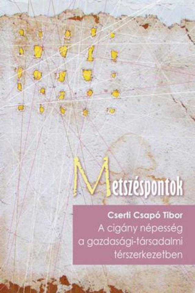 A cigány népesség a gazdasági-társadalmi térszerkezetben