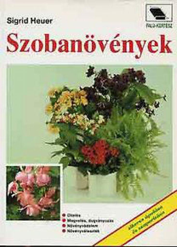 Szobanövények